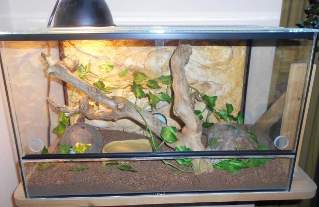 Terrárium - Kalandpark!