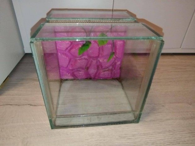 Terrárium átlátszó biztonsági pók hüllő skorpió kígyó rácsos