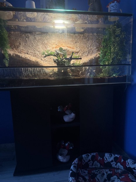 Terrárium bútorral