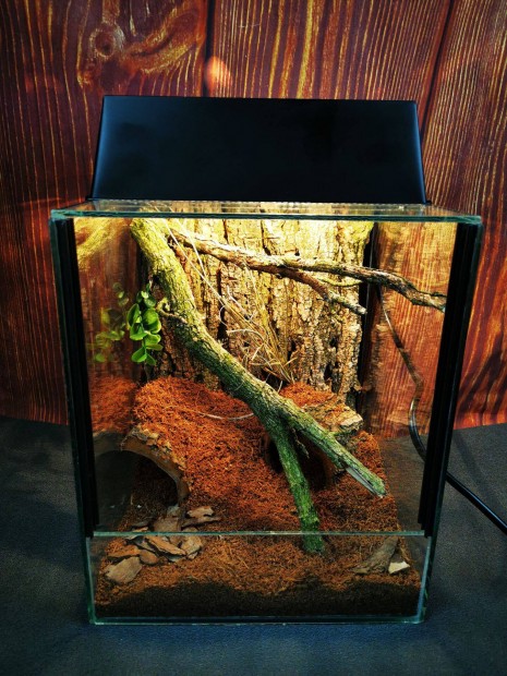 Terrárium eladó _ 1