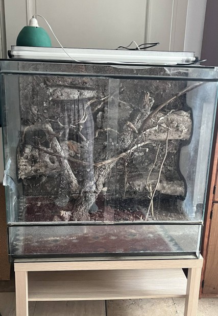 Terrariun hüllőknem