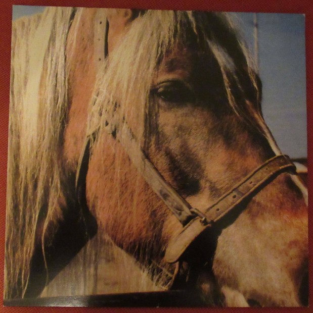 Terveet KDET The Horse LP (Finn HC / Punk)