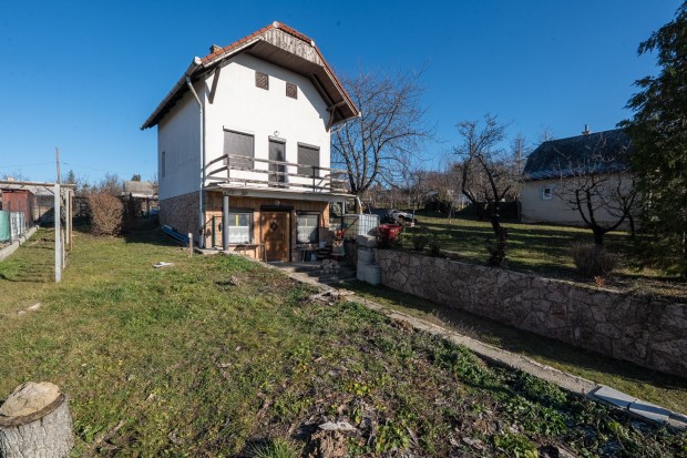 Tervezz, alak�ts, �lj  a term�szet �lel�s�ben!