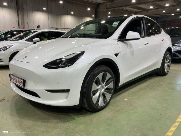 Tesla Model Y Long Range AWD (Automata)