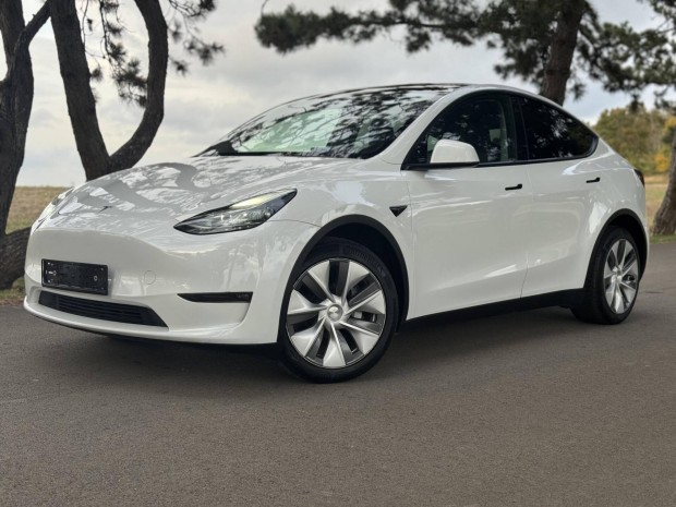 Tesla Model Y Long Range AWD (Automata)