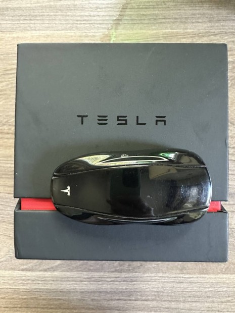 Tesla model 3/ Y keyfob