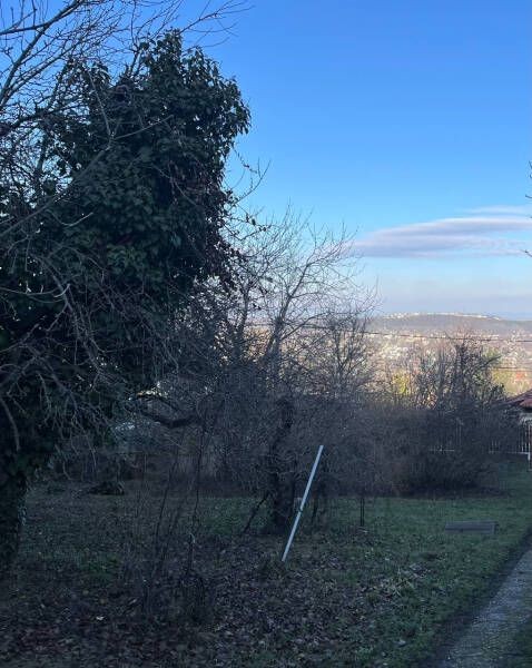 Testv�rhegyen, a jelenleg egyik legnagyobb elad� �R�KPANOR�M�S...