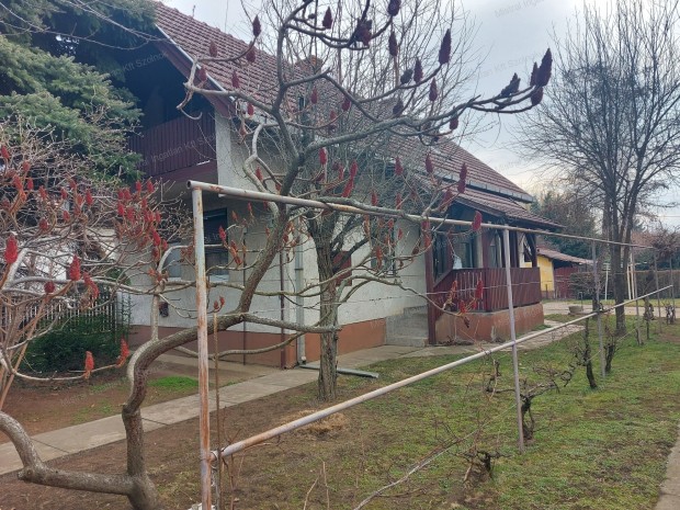 Tet�teres csal�di h�z elad� T�r�kszentmikl�son!