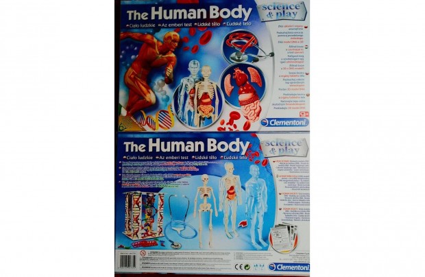 The Human Body 3D Makett A Komplettt -Modell Sztetoszkppal