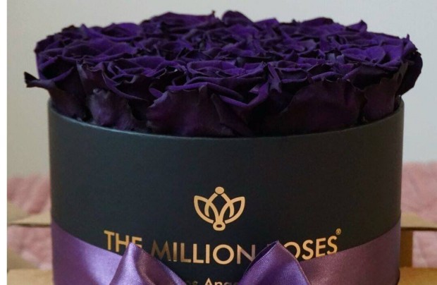 The Million Roses, lila rzsa