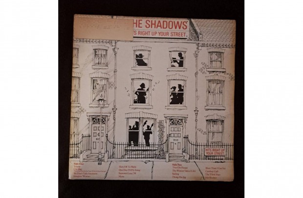 The Shadows - Hits Right Up Your Street LP