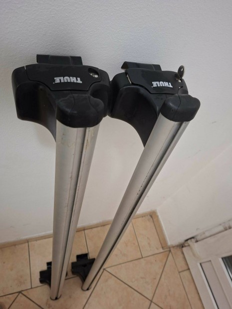 Thule tet�csomagtart� Renault Scenic-hez