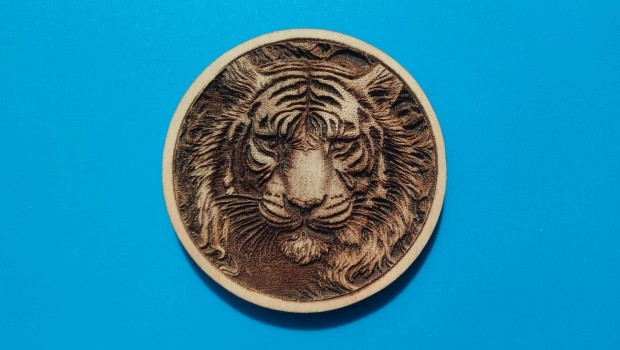 Tigris fej rjhtmgnes