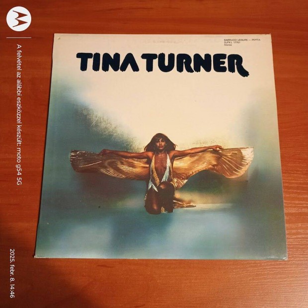 Tina Turner Tina Turner; LP, Vinyl