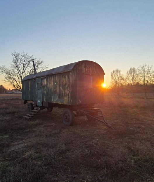 Tiny house, Cirkuszi lakkocsi, Mobilhz