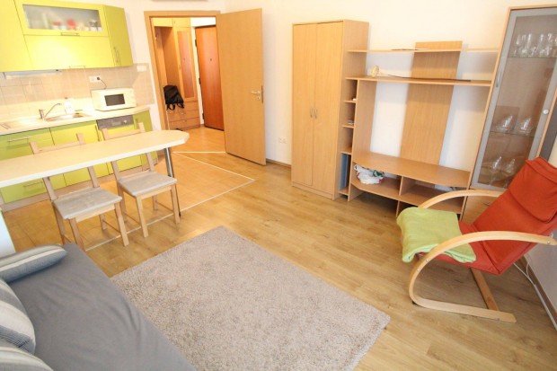 Tisza Palot�ban am. nappali + 1 szob�s lak�s