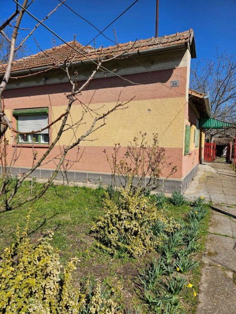 Tiszaalpár családi ház