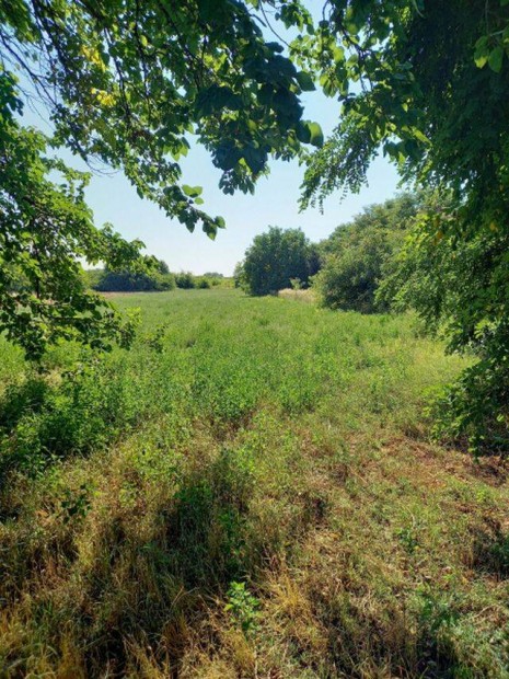 Tiszaf�ldv�ron kedvez� �ron telek elad�