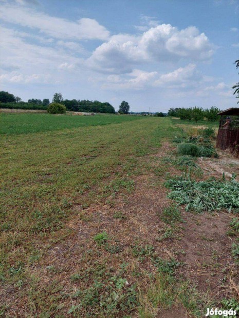 Tiszak�cske, Fenyves utca, kivett be�p�tetlen ter�let