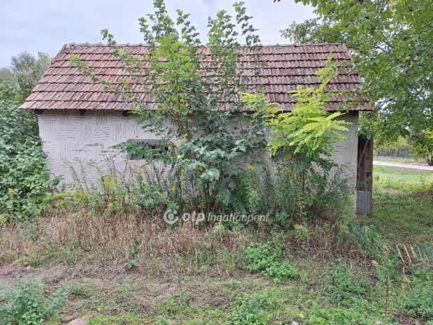 Tiszak�cskei elad� 1445 nm-es telek