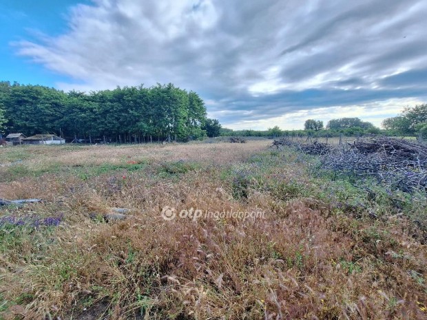 Tiszak�cskei elad� 1700 nm-es telek