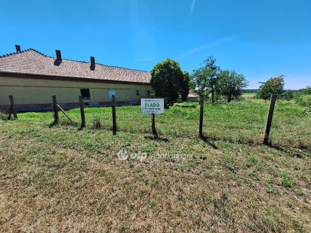 Tiszak�cskei elad� 4050 nm-es telek