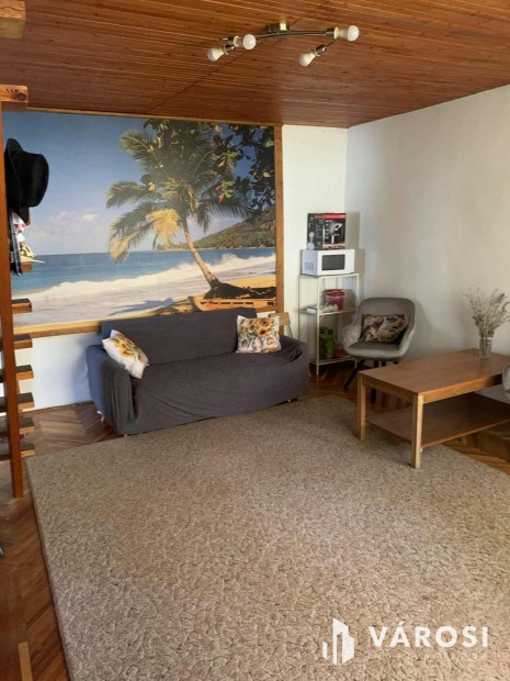 Tiszal�k�n, k�zvetlen a Tisza parton nyaral� elad�!