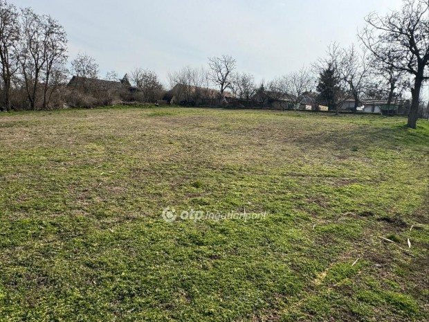 Tiszasz�l�si 1219 nm-es telek elad�