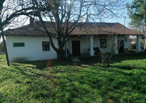 Tiszaszőlősön családi ház eladó