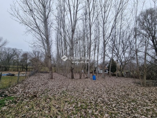 Tiszaugi elad� 1611 nm-es telek