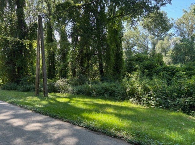 Tisza�jv�rosban a Tisza szigeten �p�t�si telek elad�!