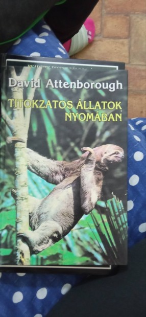 Titokzatos llatok nyomban