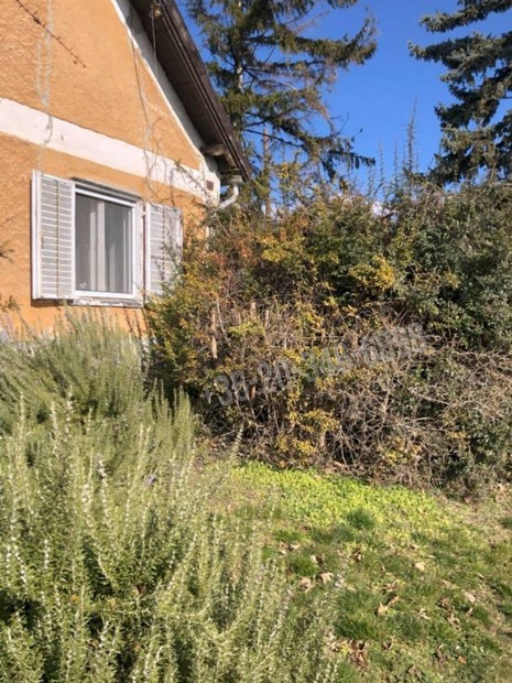 T�bbsz�z �ves, k�l�nleges, romantikus vincell�rh�z  192_agr