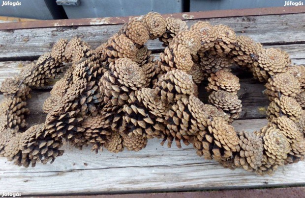 Toboz koszorú alapok egyben eladók. HUF/db 115 db maradt