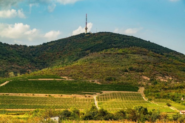 Tokaj, k�lter�let, 45864 m2-es, telek