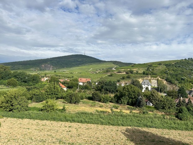 Tokaj rk panorms laks