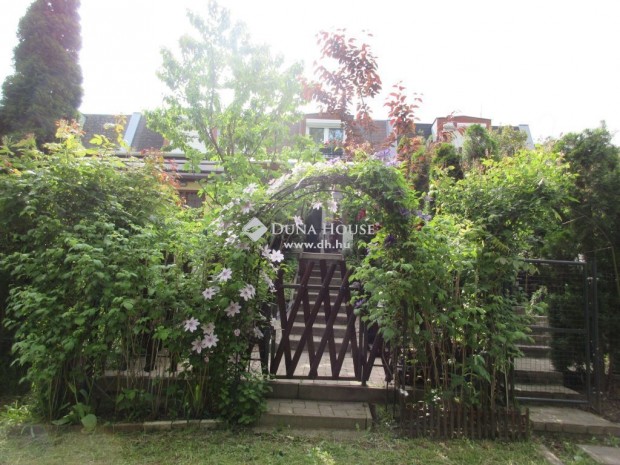 Tokaji elad� 66 nm-es h�z