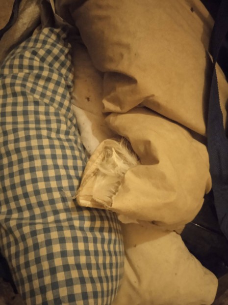 Toll párnák csabán