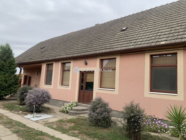 Tolnai elad� 140 nm-es h�z