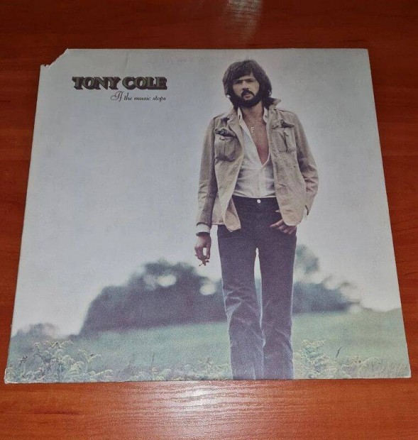 Tony Cole - If The Music Stops; LP, Vinyl