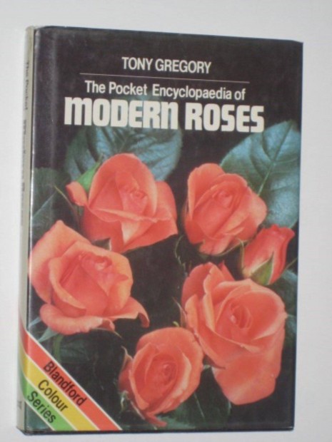 Tony Gregory Modern roses