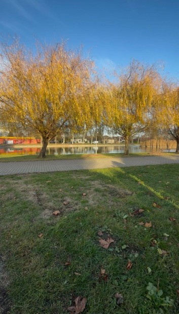 T�parti �let Kom�romban fel�j�tott lak�s k�zvetlen�l a R�diger-t�n�l