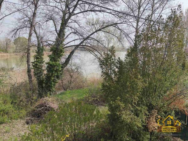 T�parti h�z D�legyh�z�n! 1246