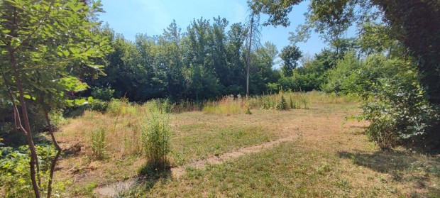 Tóparti telek Gyömrőn páratlan panorámával
