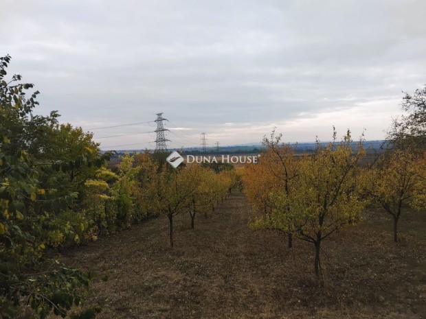 Tordasi elad� 1639 nm-es telek