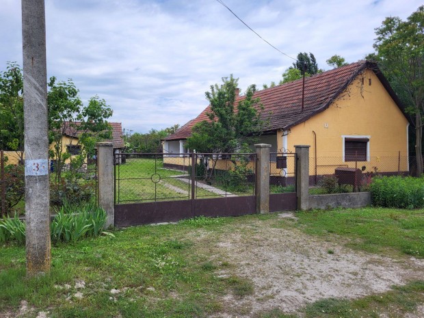 Torncos csaldi hz