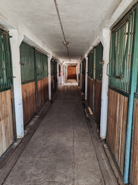 T�r�kszentmikl�s-Kisbartahalom telep elad�!