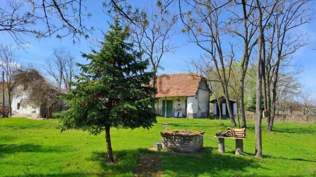 T�rteli 15238 nm-es telek elad�