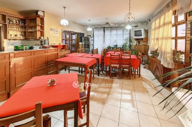 T�tv�zsonyi 546 nm-es h�z elad�