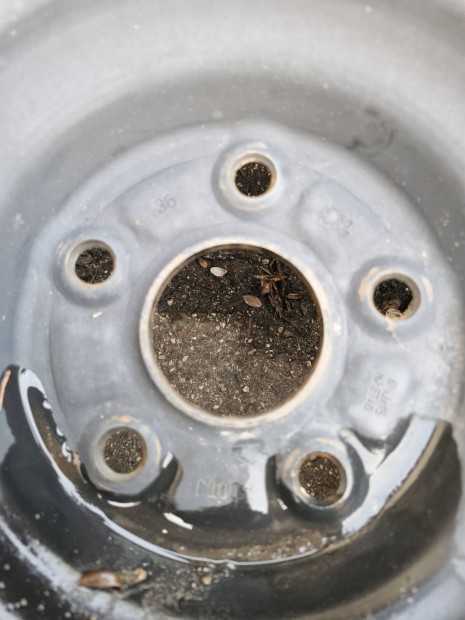 Toyota 5x114.3 15" ac�lfelni tpms szenzorral